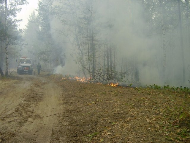 Заводчане на пожарах 2010 года